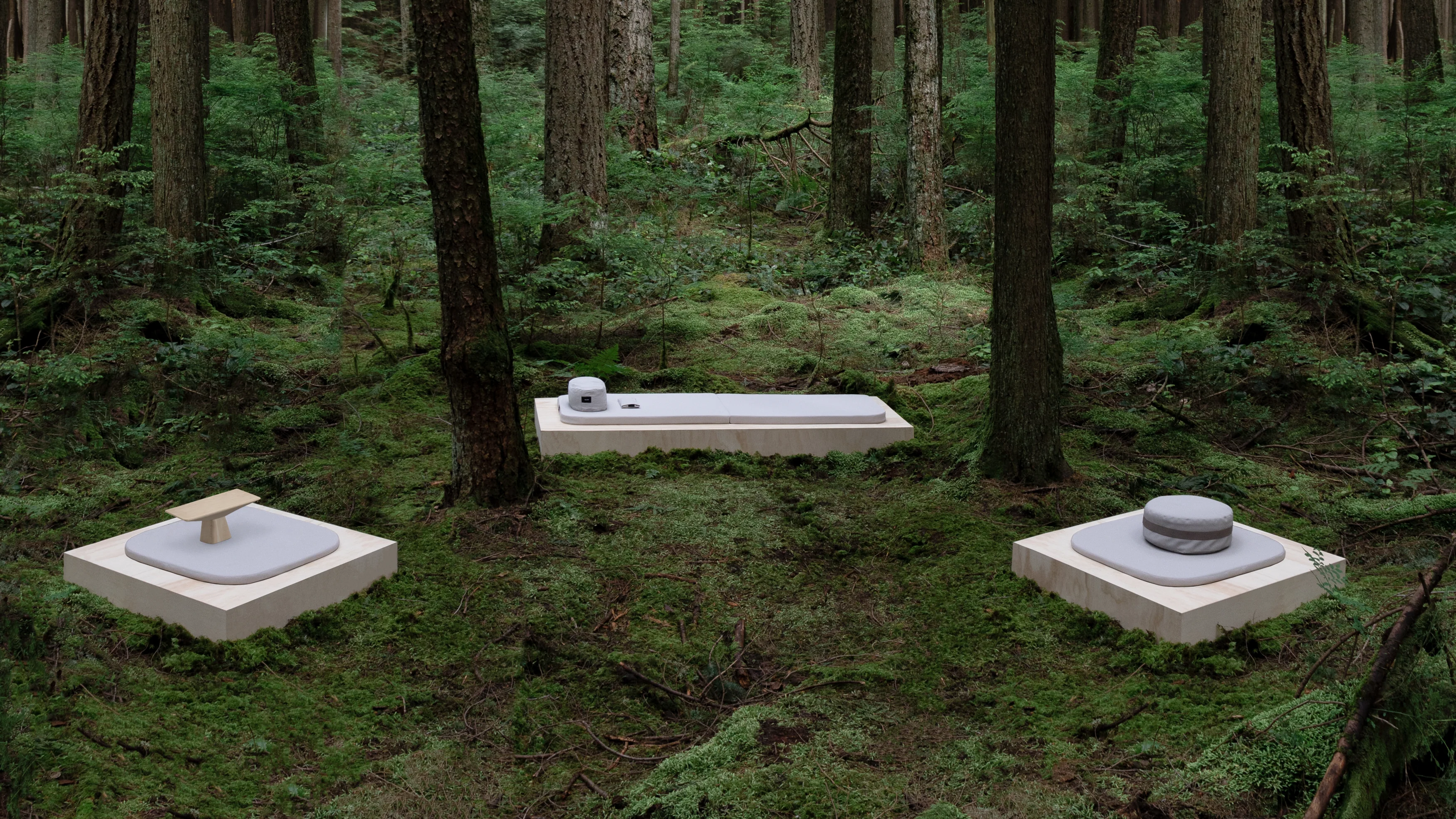 Welcome to Our Store